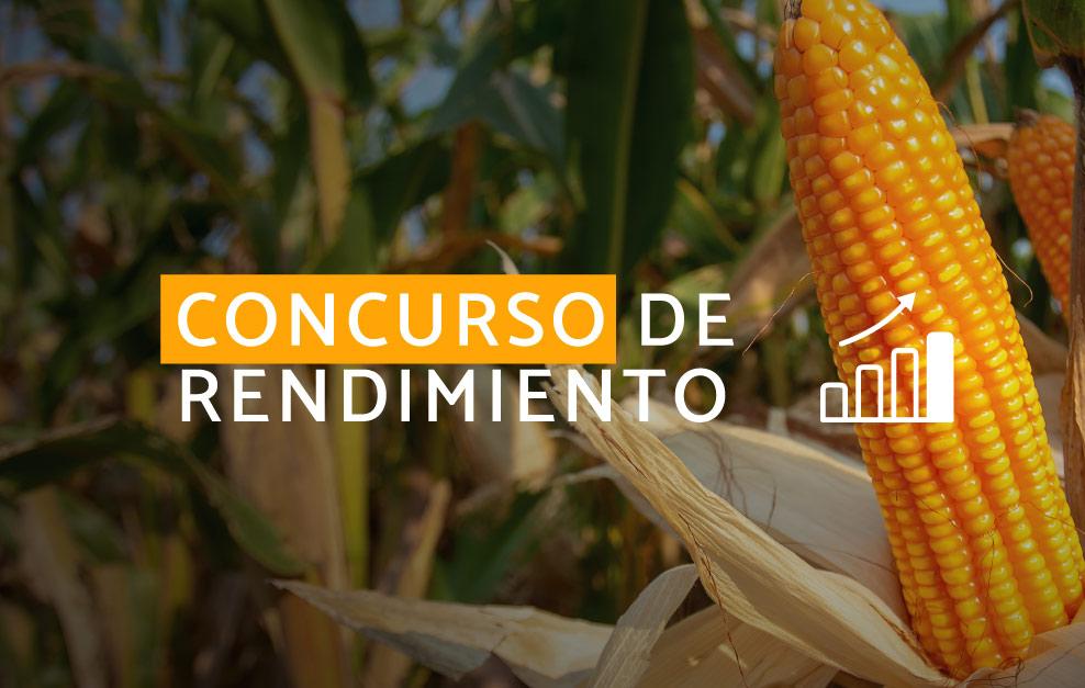 CONCURSO DE RENDIMIENTO