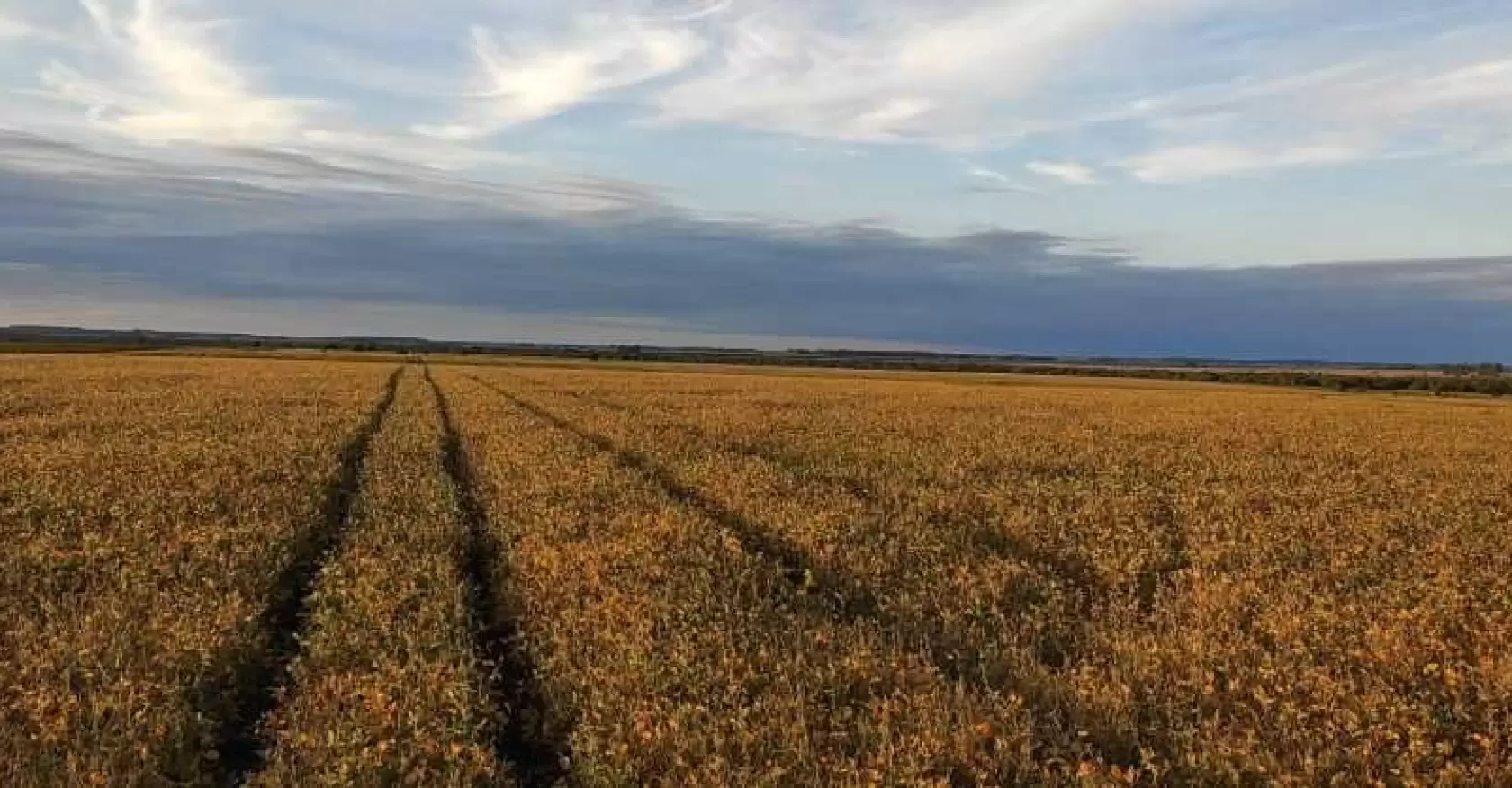 Campo Limpio recupera un 37% de los envases de agroquímicos y fertilizantes