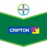 Cripton