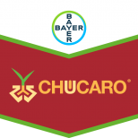 CHUCARO